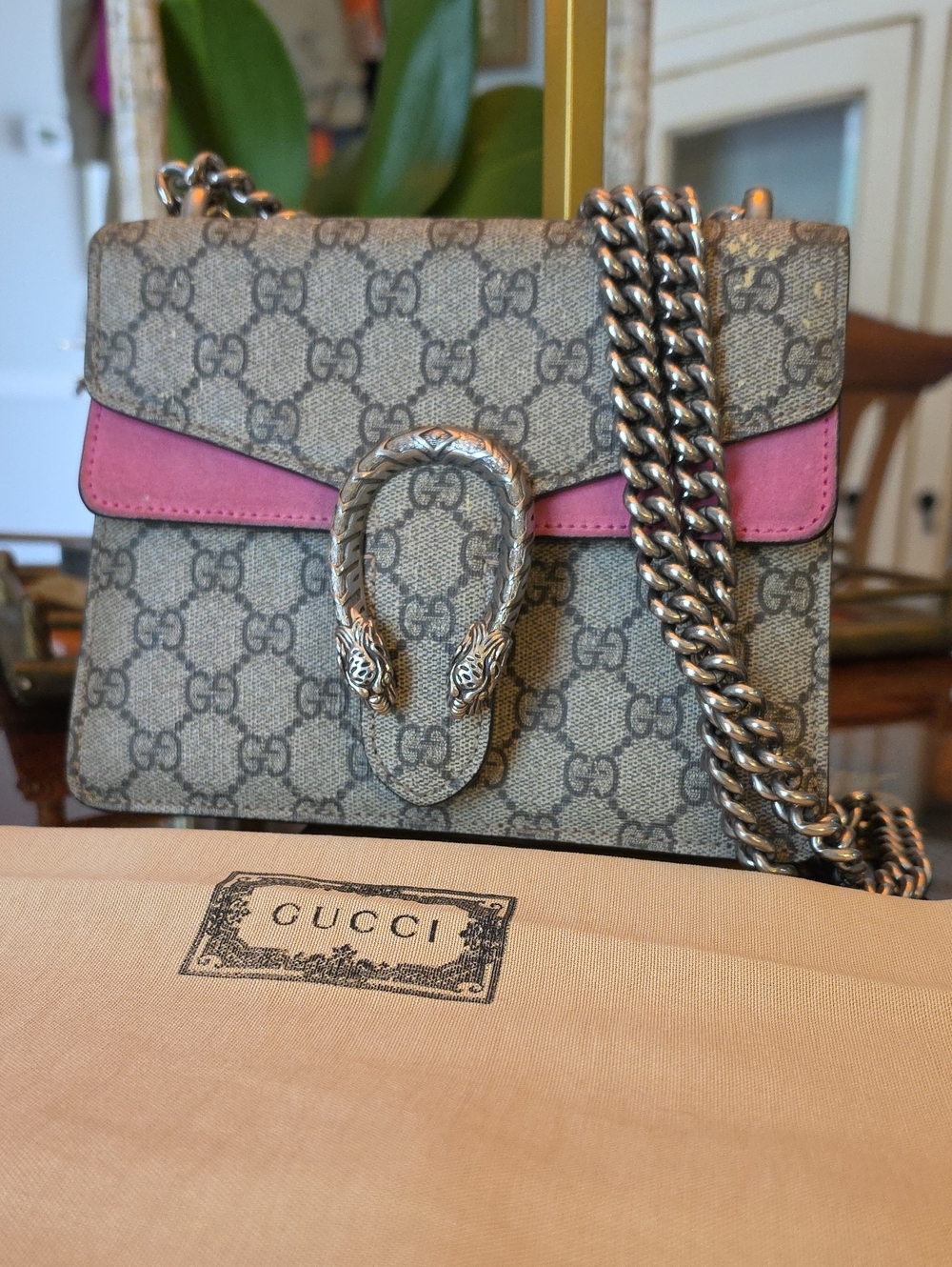 GG Aurhentic Supreme Dionysus Mini PINK